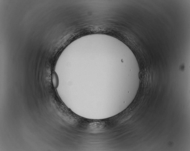 X0000116560700200912311933