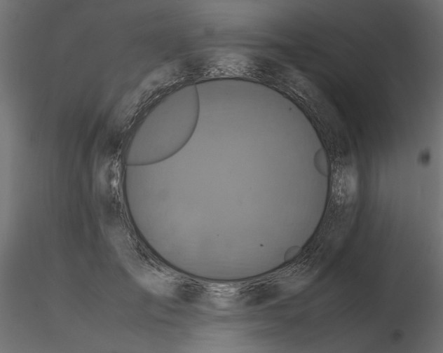 X0000116560701200912311933