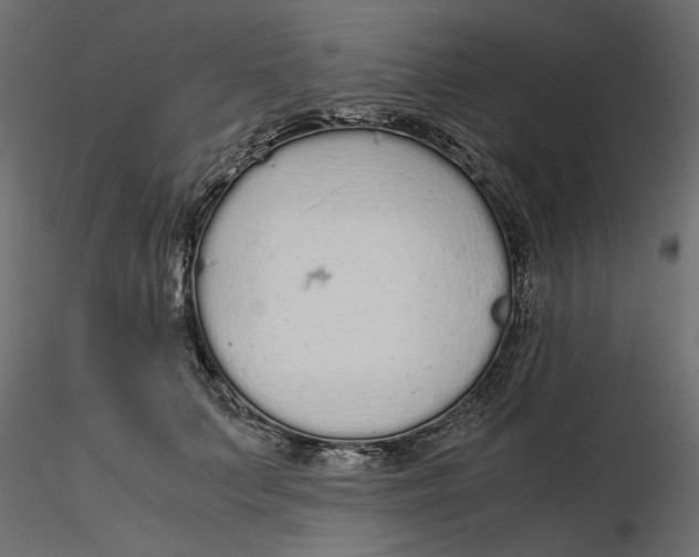 X0000116560703200912311933