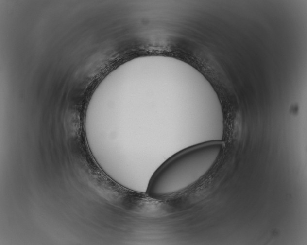 X0000116560704200912311933