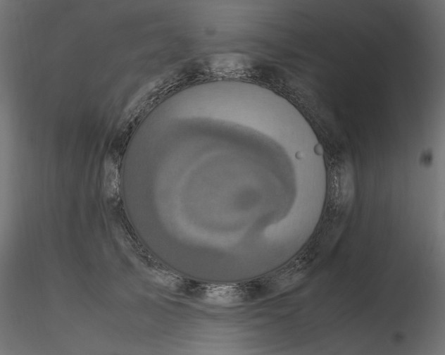 X0000116560705200912311933