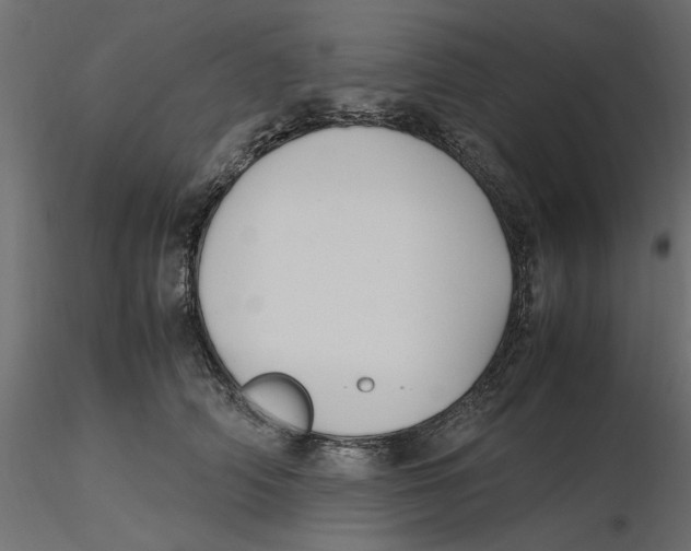 X0000116560706200912311933