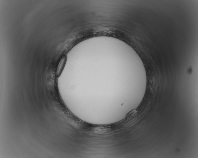 X0000116560708200912311932