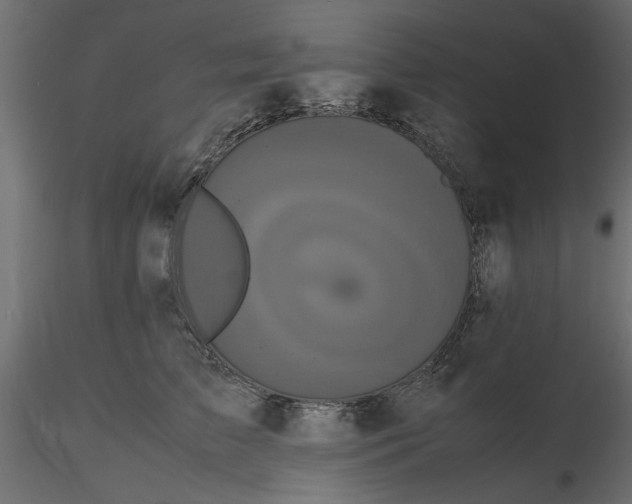 X0000116560709200912311932