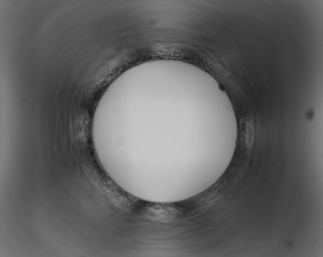 X0000116560712200912311932