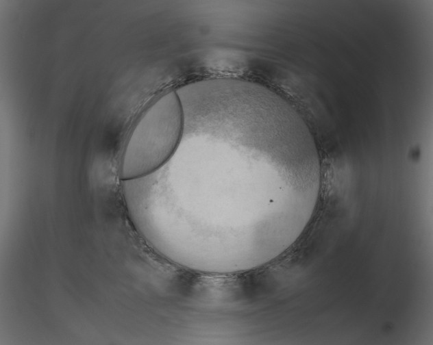 X0000116560713200912311932