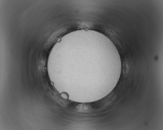 X0000116560714200912311932