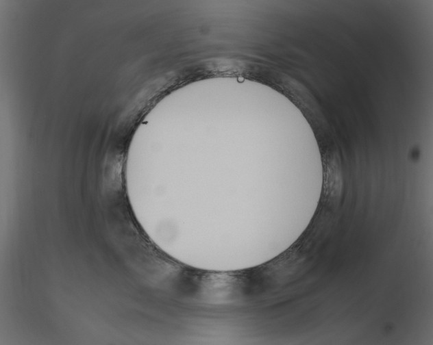 X0000116560717200912311932