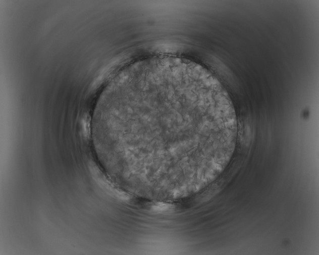 X0000116560718200912311932