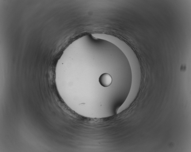 X0000116560720200912311932