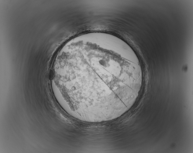 X0000116560721200912311932