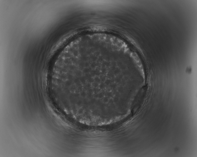 X0000116560722200912311932