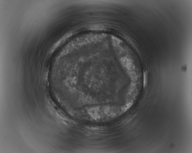 X0000116560723200912311932