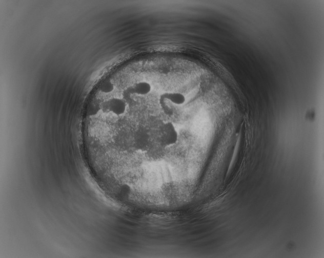 X0000116560725200912311932