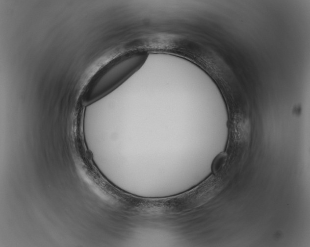 X0000116560726200912311932