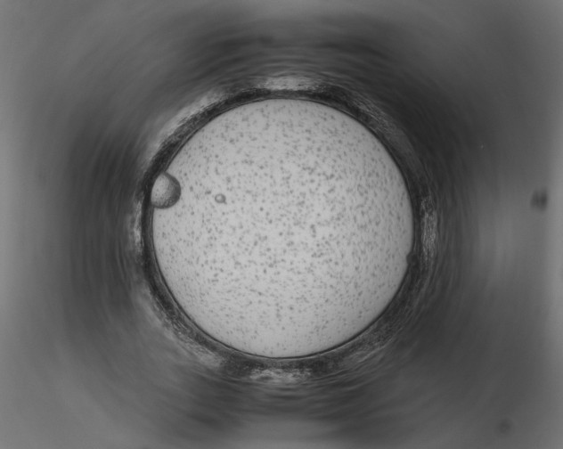 X0000116560727200912311932