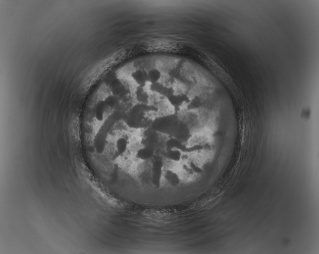 X0000116560729200912311932