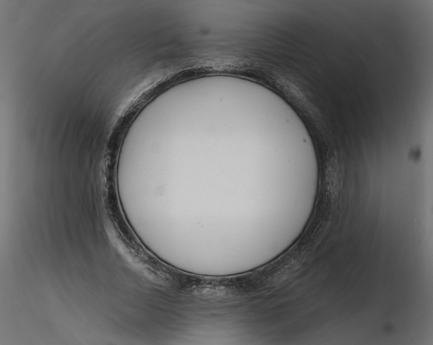 X0000116560730200912311932