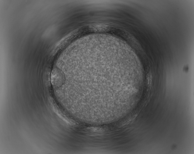 X0000116560733200912311932