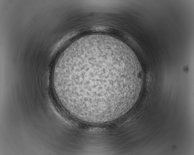 X0000116560734200912311932