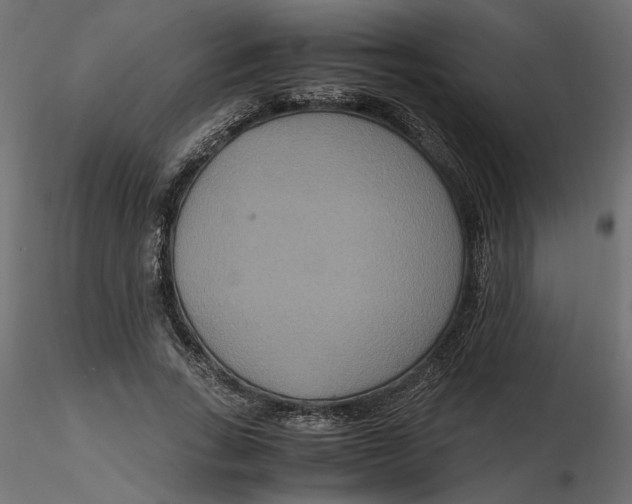 X0000116560735200912311932