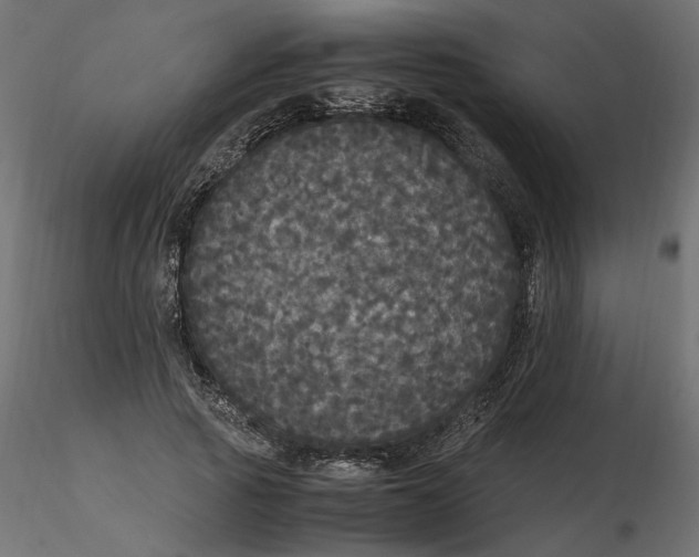 X0000116560737200912311932