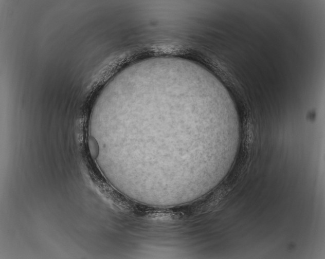 X0000116560738200912311932