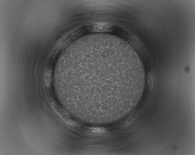 X0000116560741200912311932