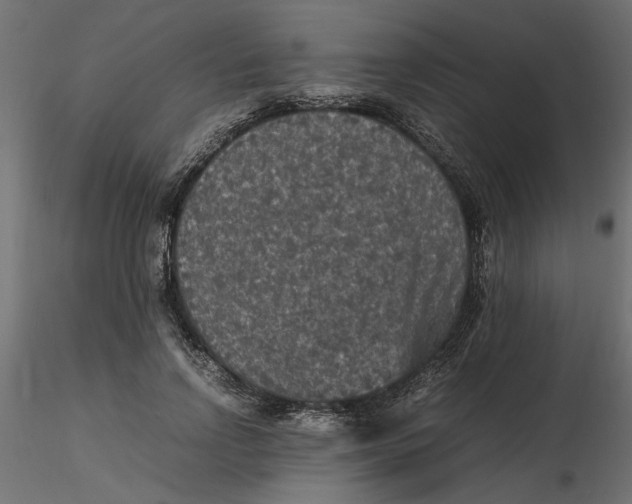 X0000116560742200912311932