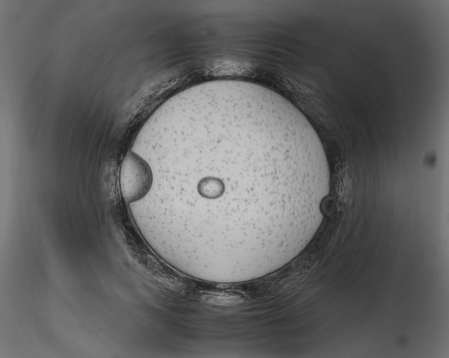 X0000116560743200912311932