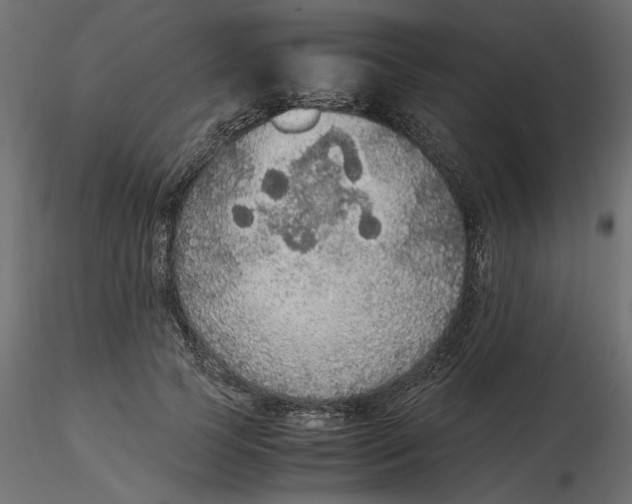 X0000116560745200912311932