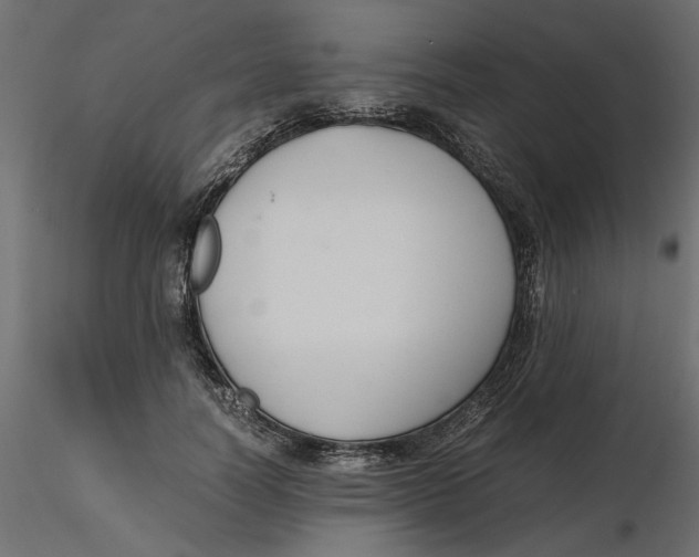 X0000116560746200912311932