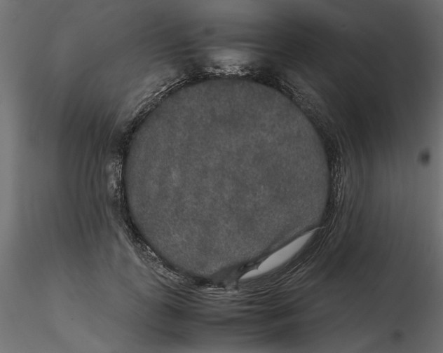 X0000116560747200912311932