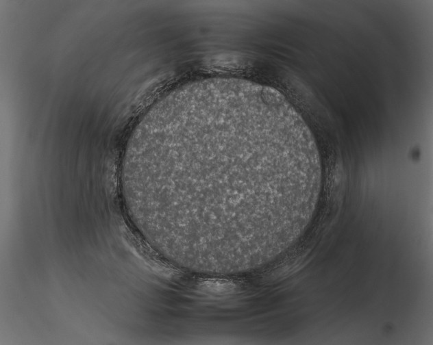 X0000116560749200912311932