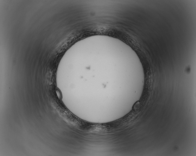 X0000116560750200912311932