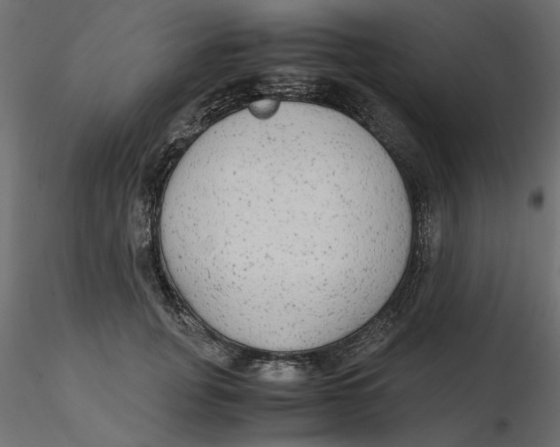 X0000116560751200912311932