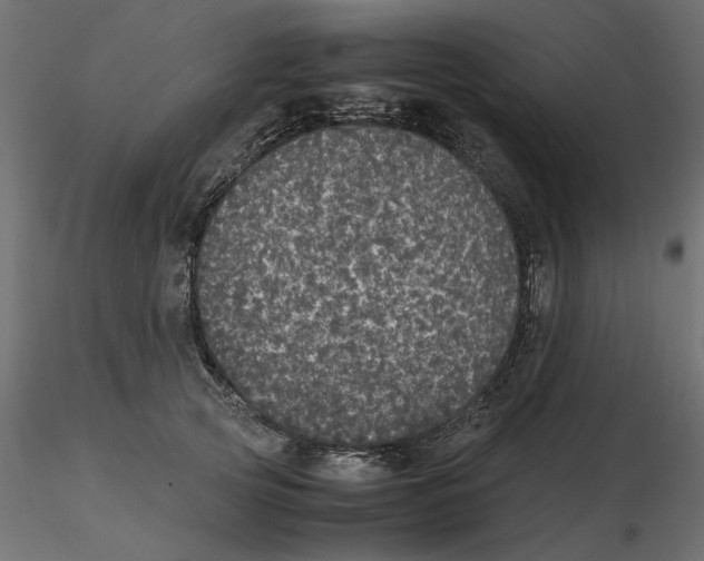 X0000116560753200912311932