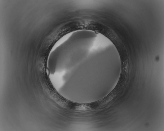 X0000116560754200912311932