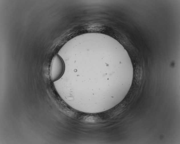 X0000116560755200912311932