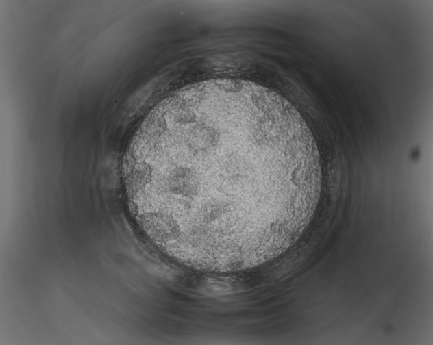 X0000116560757200912311932