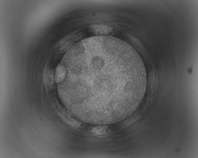 X0000116560761200912311932