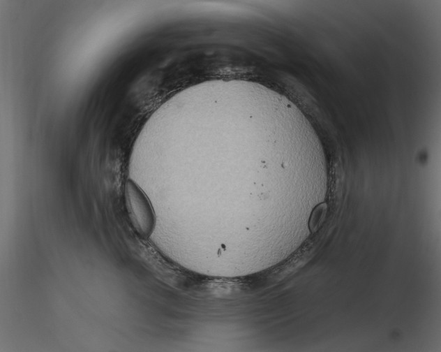 X0000116560762200912311932