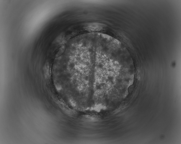 X0000116560763200912311932