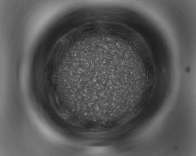 X0000116560765200912311932