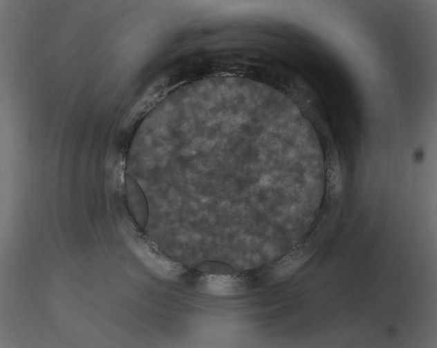 X0000116560766200912311932