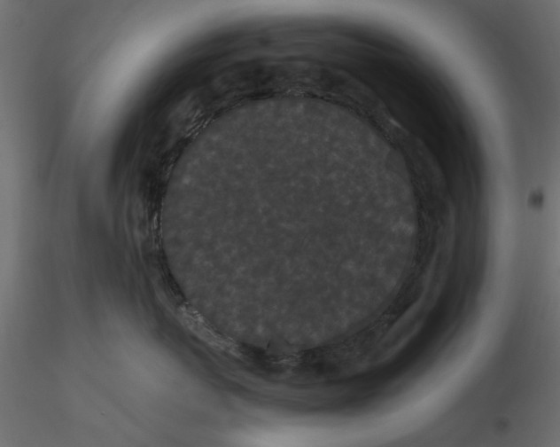 X0000116560767200912311932