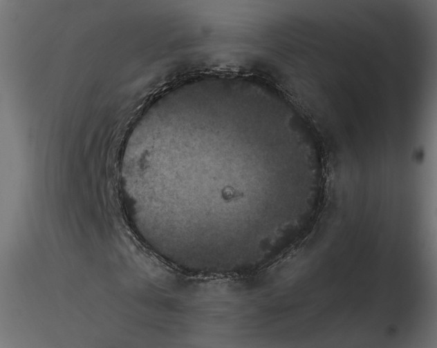 X0000116560769200912311932