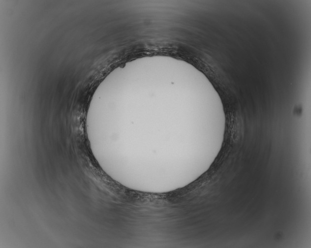 X0000116560770200912311932