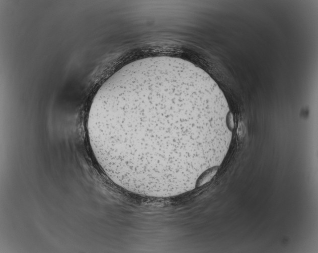 X0000116560771200912311932