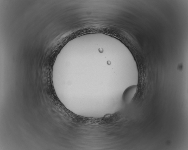 X0000116560773200912311932